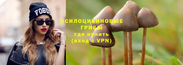 скорость Тавда