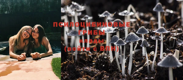 спиды Горнозаводск