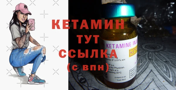 трава Гусиноозёрск