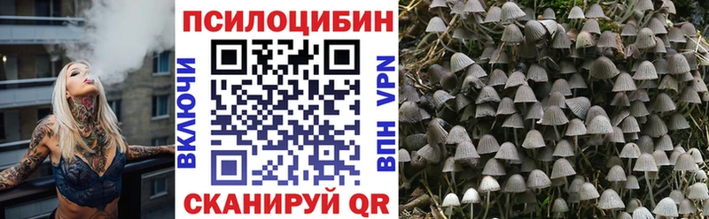Псилоцибиновые грибы Psilocybe  наркошоп  Заречный 