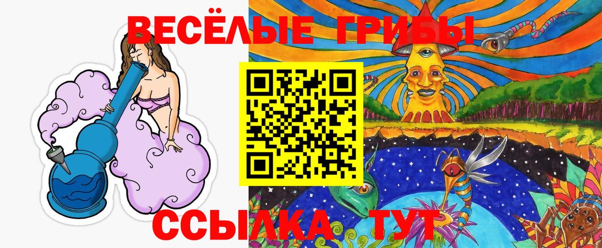 Заречный  Псилоцибиновые грибы прущие грибы  Вход с VPN 